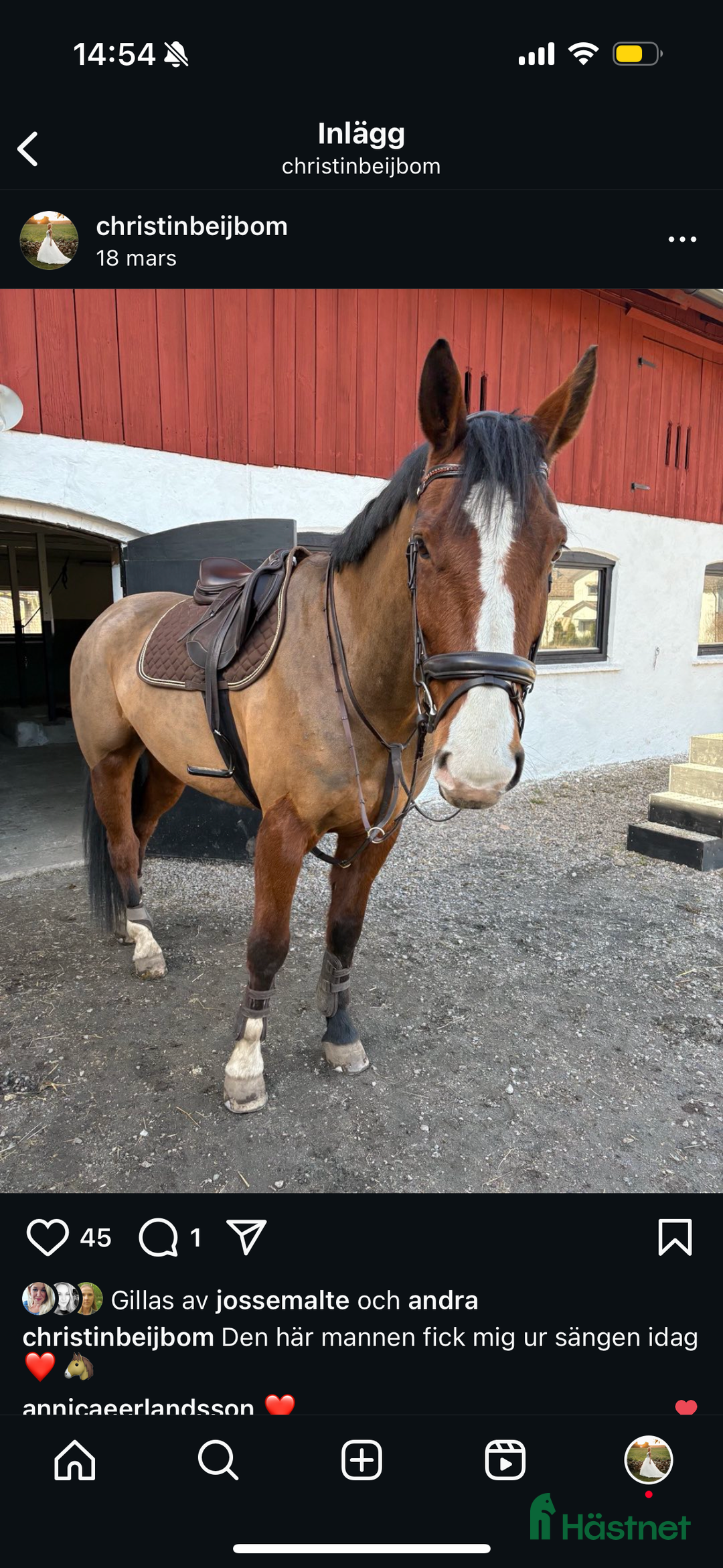 Sadlar hästutrustning till salu: SÄLJES Iconic Light hoppsadel i Falköping - Annons 7