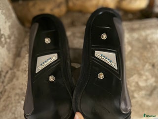 Benskydd hästutrustning till salu: Veredus benskydd svarta i Tierp - Annons 19