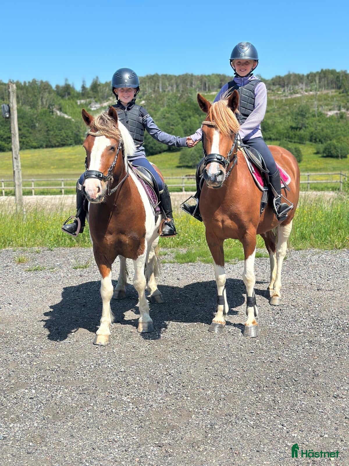  hästar Våran fina Sally!  - Annons 1