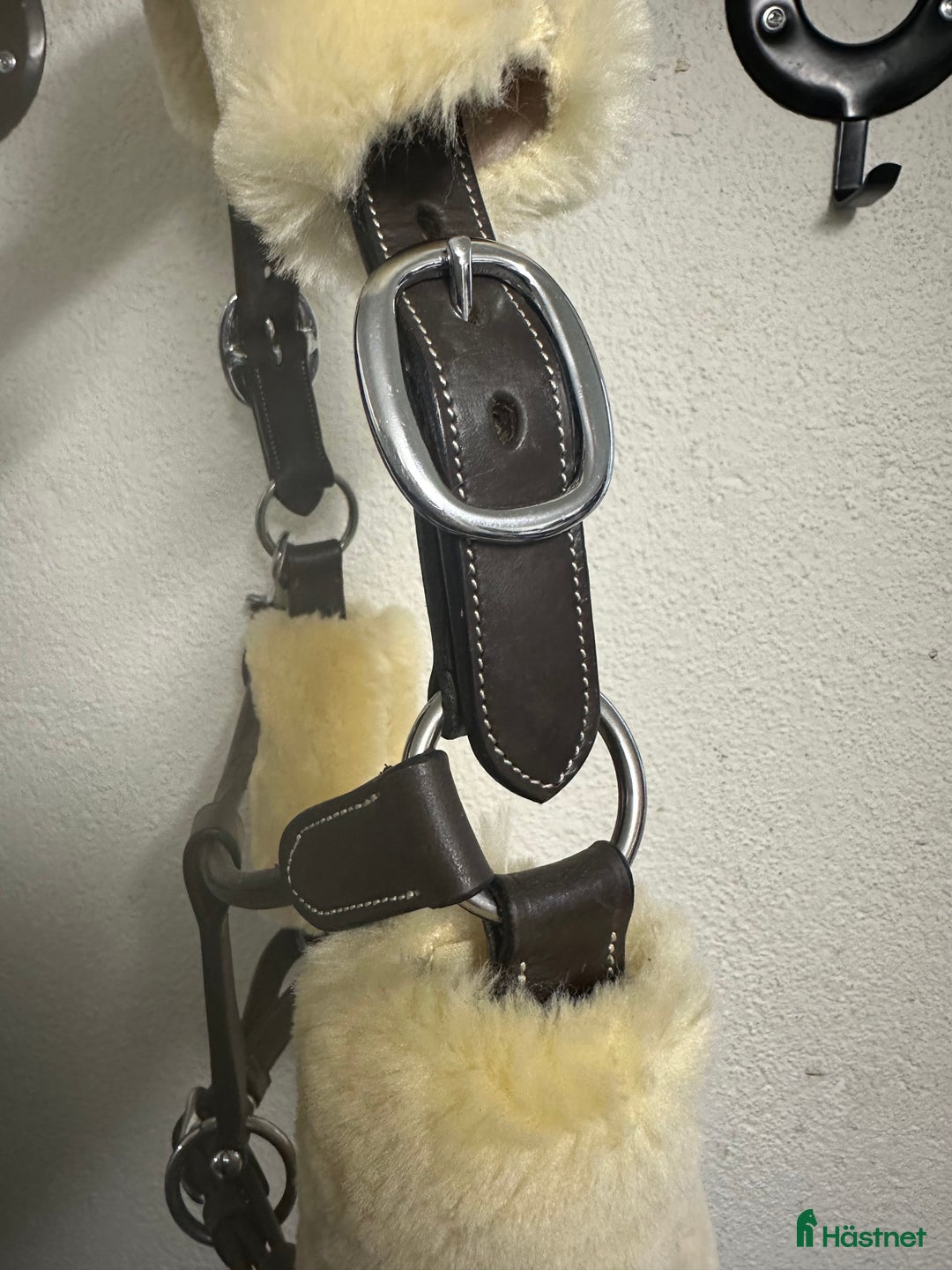Övrig Hästutrustning hästutrustning till salu: Brun lädergrimma Dyon COB i Kinna - Annons 8