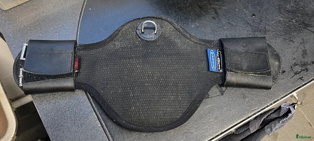 Sadeltillbehör hästutrustning till salu: Dressyrgjord Eric le tixerant - Annons 1