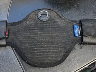 Sadeltillbehör hästutrustning Dressyrgjord Eric le tixerant - Annons 2