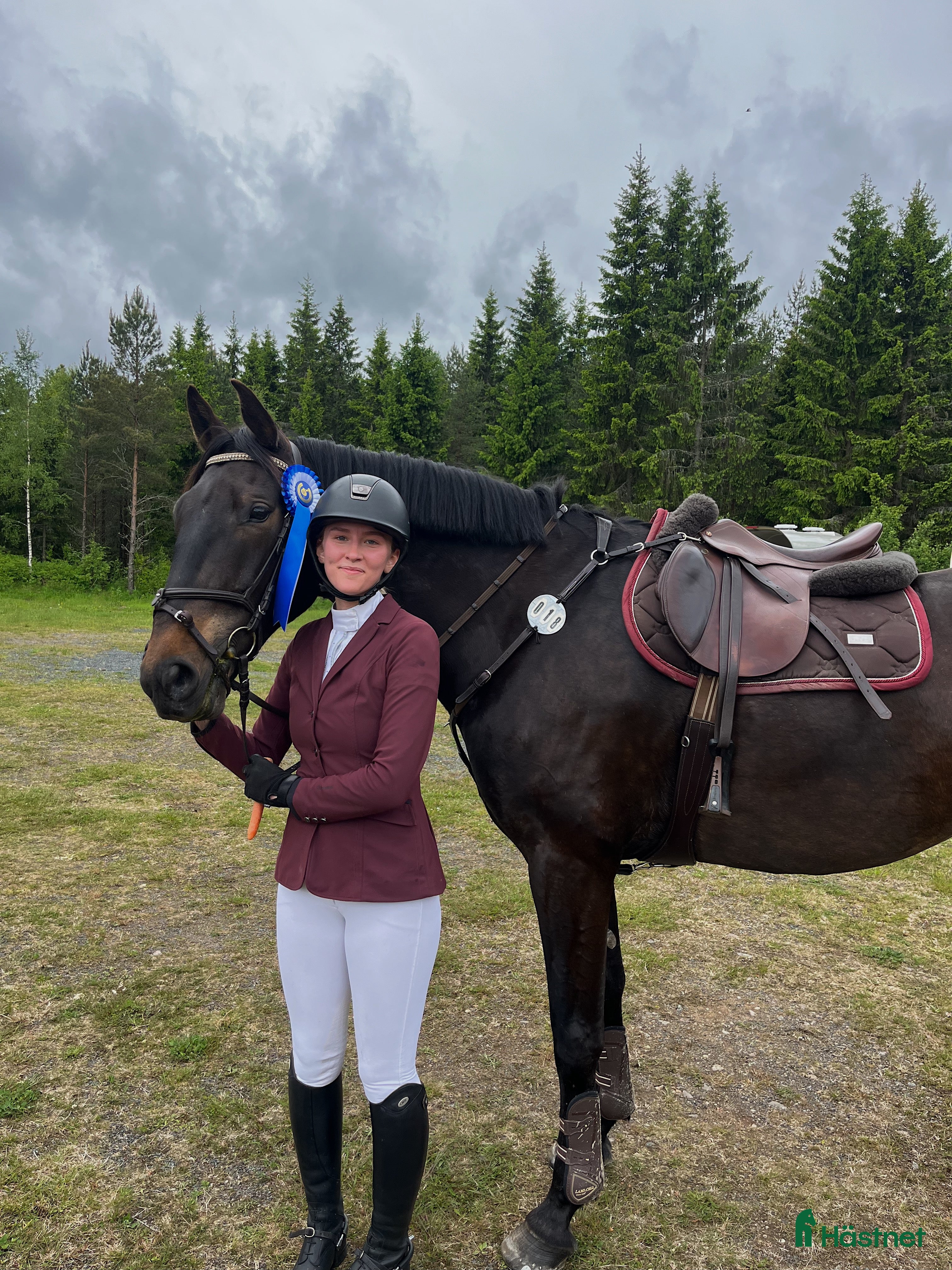  hästar GDP Bournaville - Annons 18