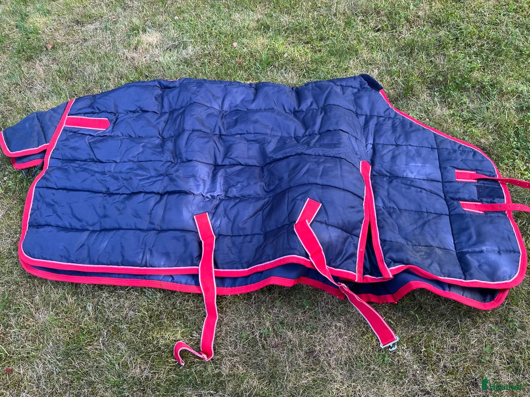 Täcken hästutrustning till salu: Täcken stl 125 & 135 i Vikingstad - Annons 6