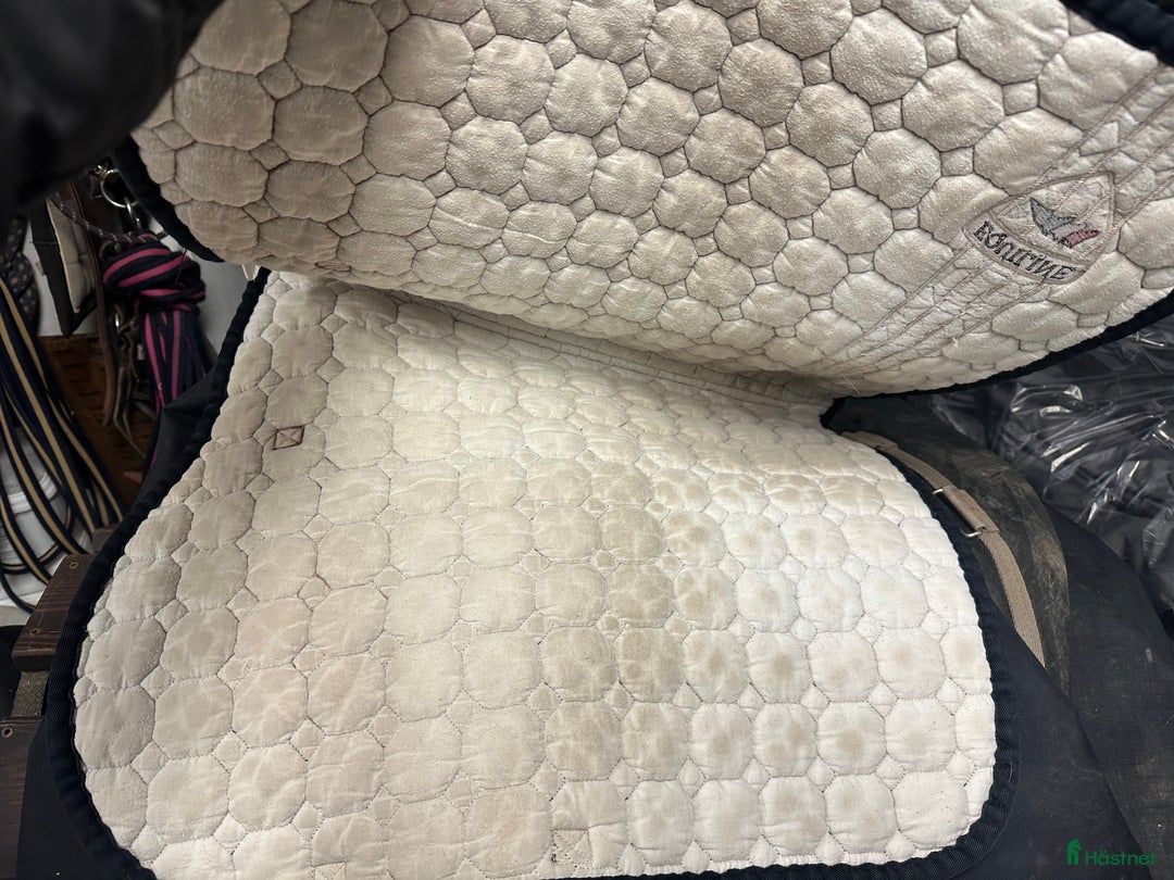 Schabrak & Vojlockar hästutrustning till salu: Equiline och Trolle schabrak säljes i Bollnäs - Annons 4