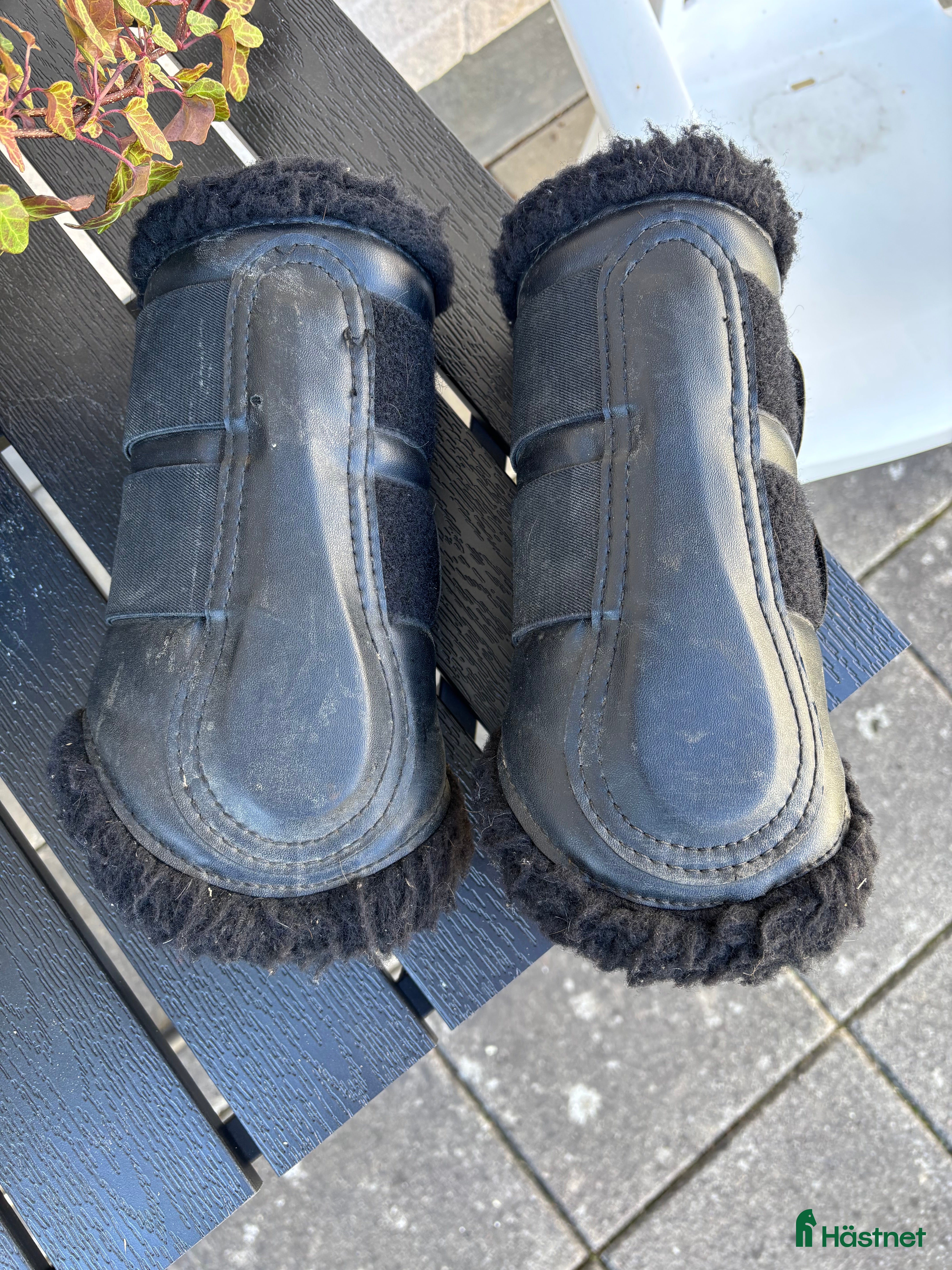 Benskydd hästutrustning till salu: Benskydd Protector  i Linghem - Annons 1