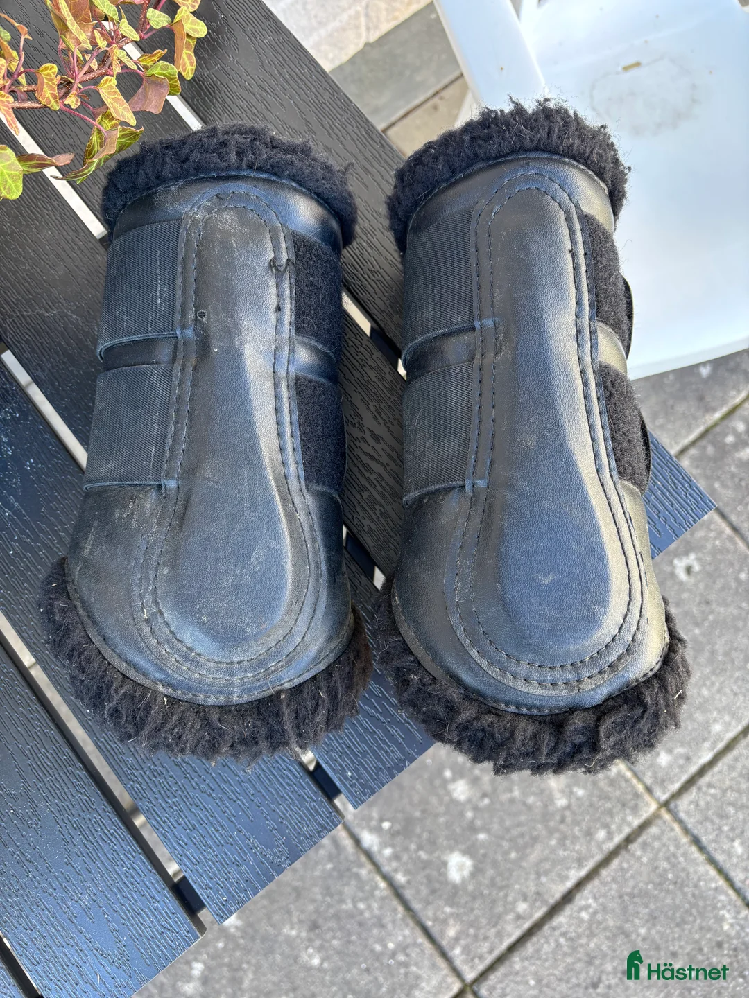 Benskydd hästutrustning till salu: Benskydd Protector  i Linghem - Annons 1