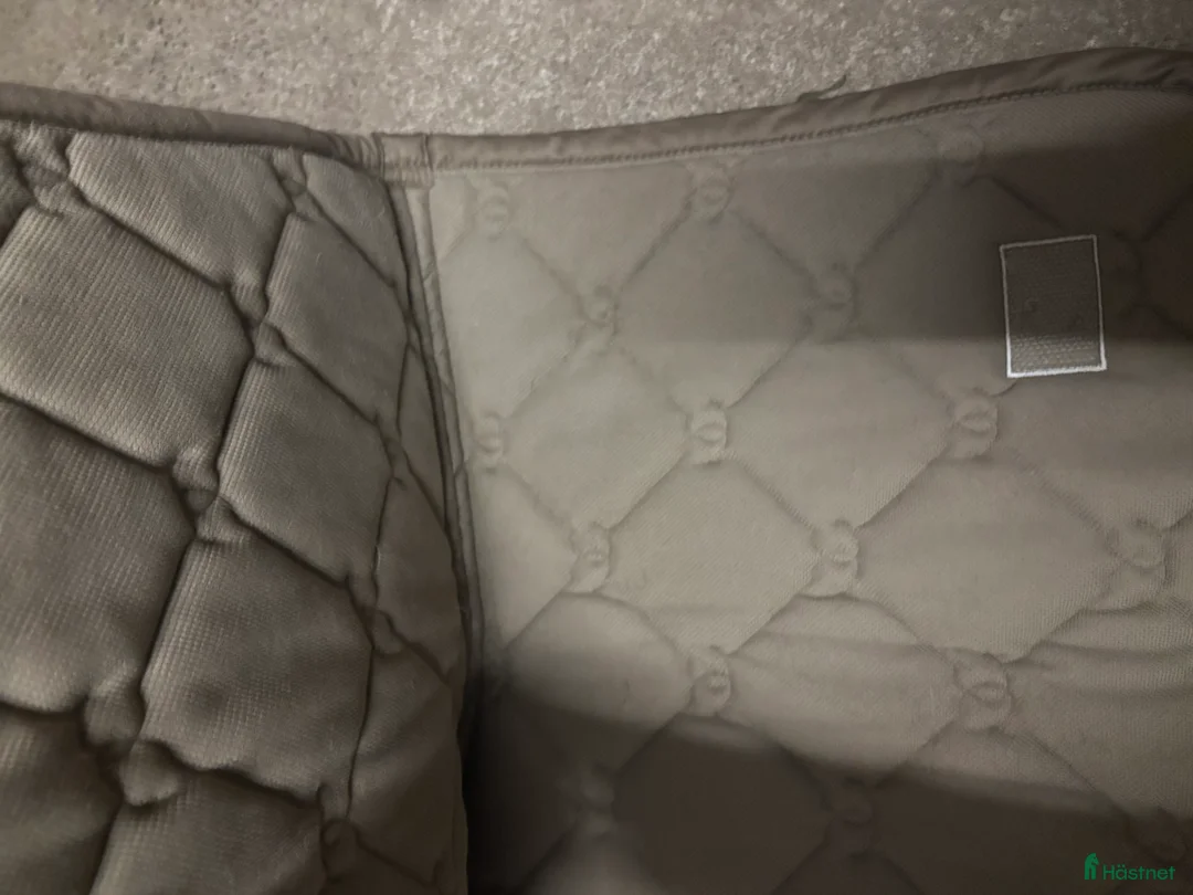 Schabrak & Vojlockar hästutrustning till salu: Equestrian Stockholm  i Tomelilla - Annons 2