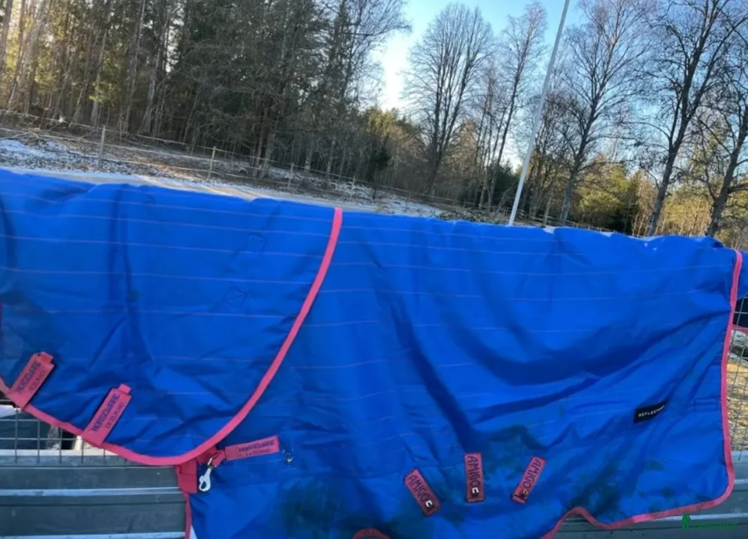 Täcken hästutrustning till salu: Horsewear Amigo Bravo 145 - Annons 2
