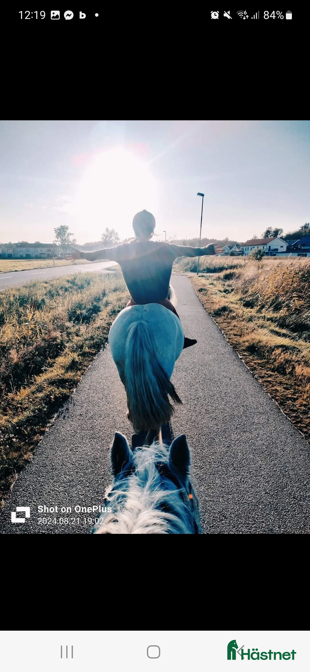Övrigt hästar till salu: Supertrygg b ponny, även är lämplig för verksamhet i Säve - Annons 10