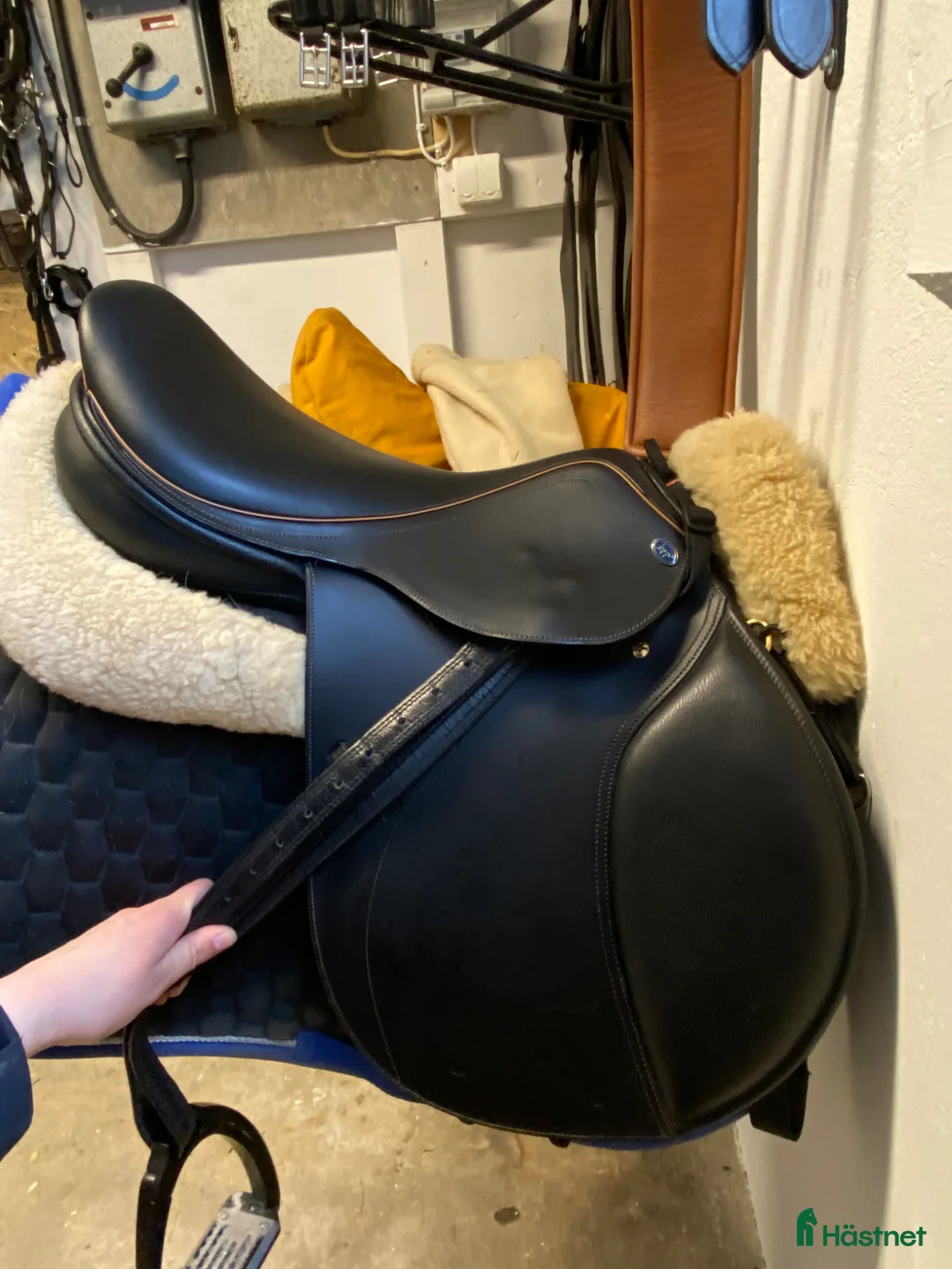 Sadlar hästutrustning till salu: Knappt använd Lippo Fazzino - Annons 1