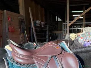 Sadlar hästutrustning Lippo RIVELLO 15,5 ” i Myggenäs - Annons 2