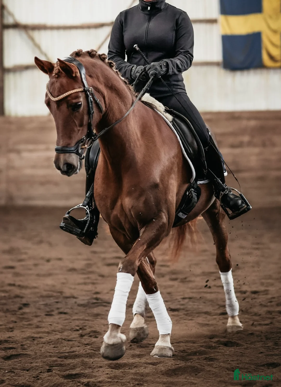Dressyr hästar till salu: Fantastisk läromästare i Vätö - Annons 3