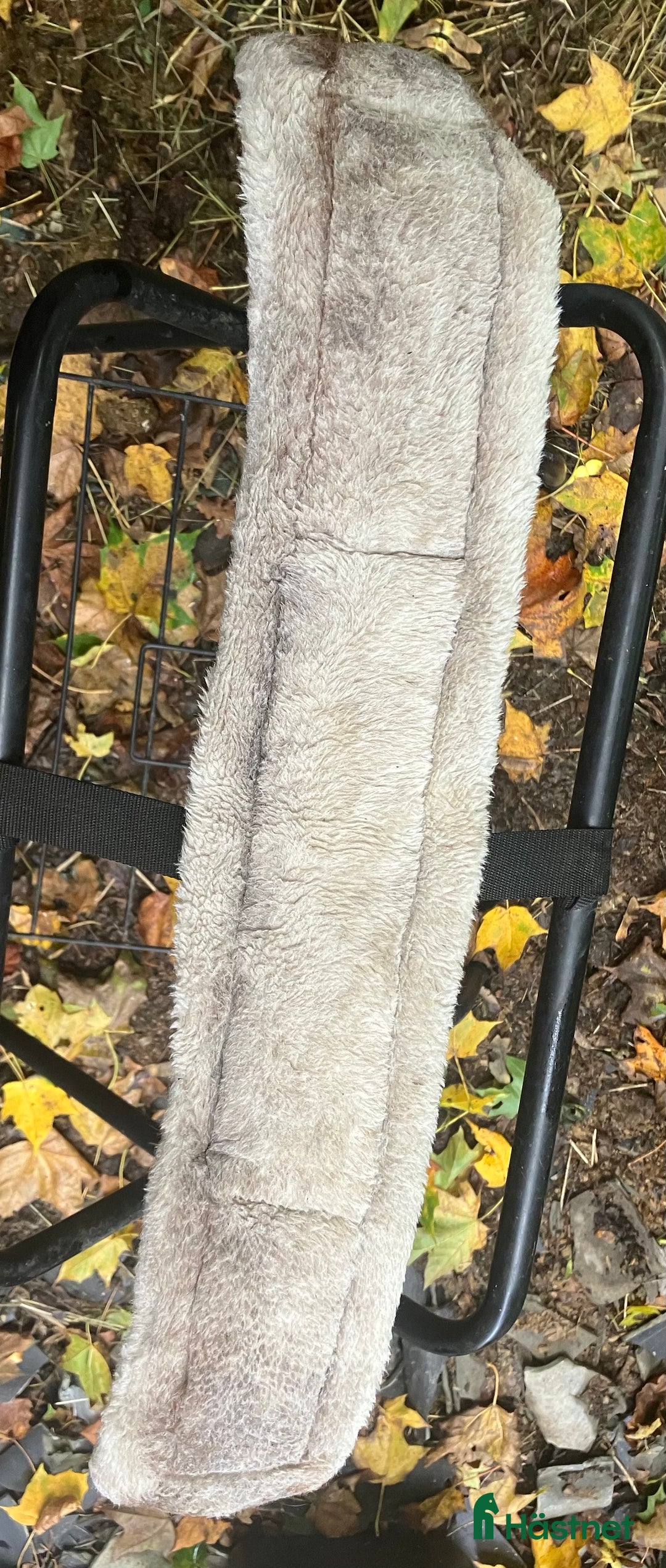 Sadeltillbehör hästutrustning till salu: Dressyrgjord i Rödeby - Annons 2