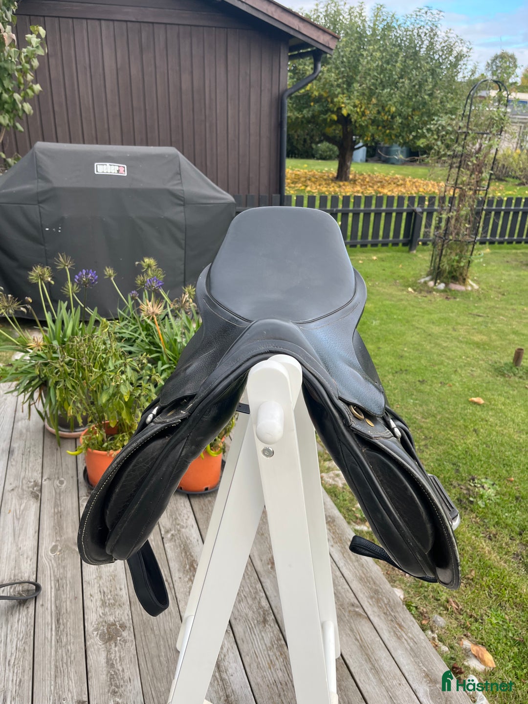 Sadlar hästutrustning till salu: Allroundsadel i väldigt fint skick  i Norrköping - Annons 2