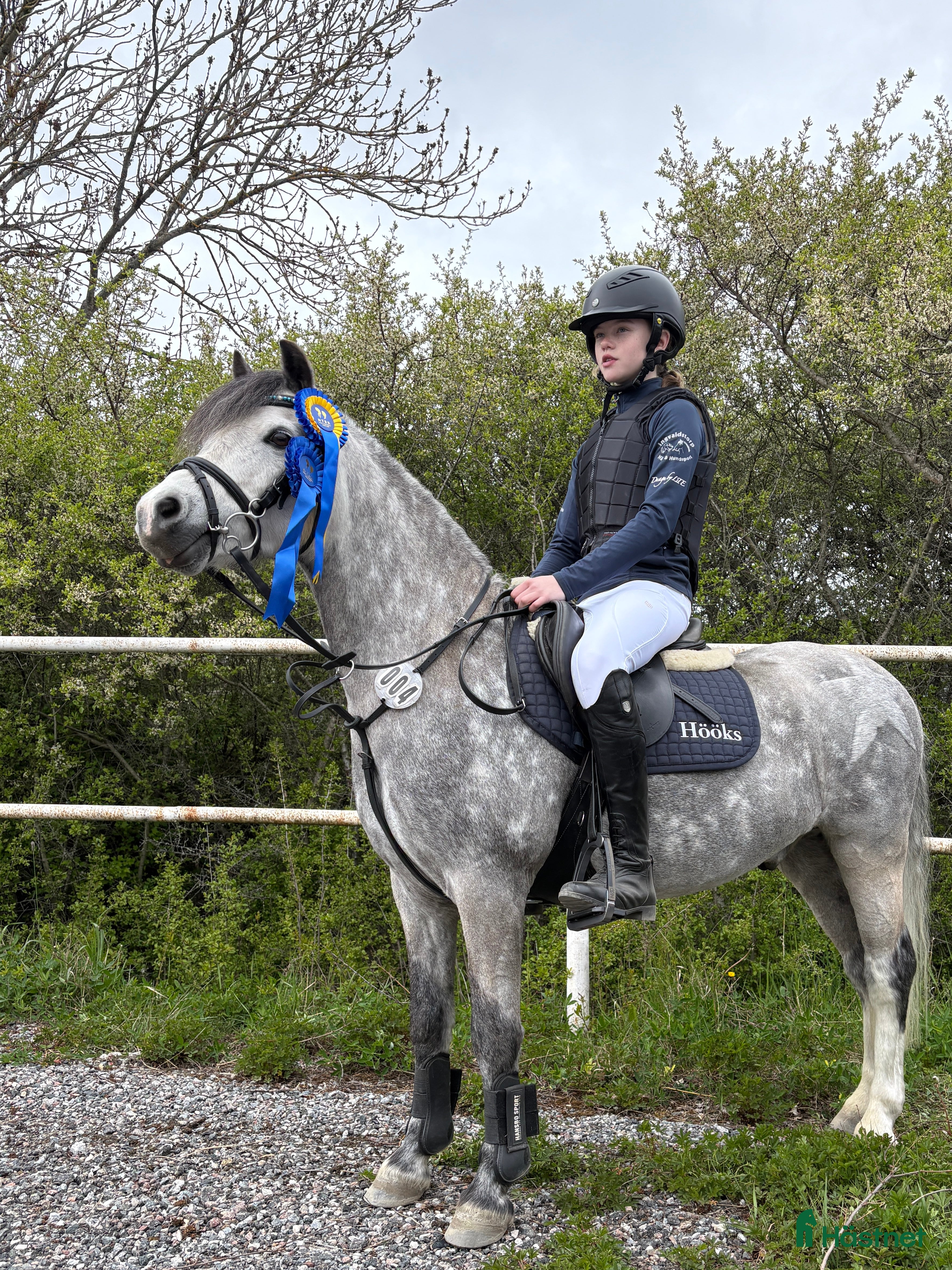  hästar Drömponny med kapacitet  i Björkvik - Annons 13