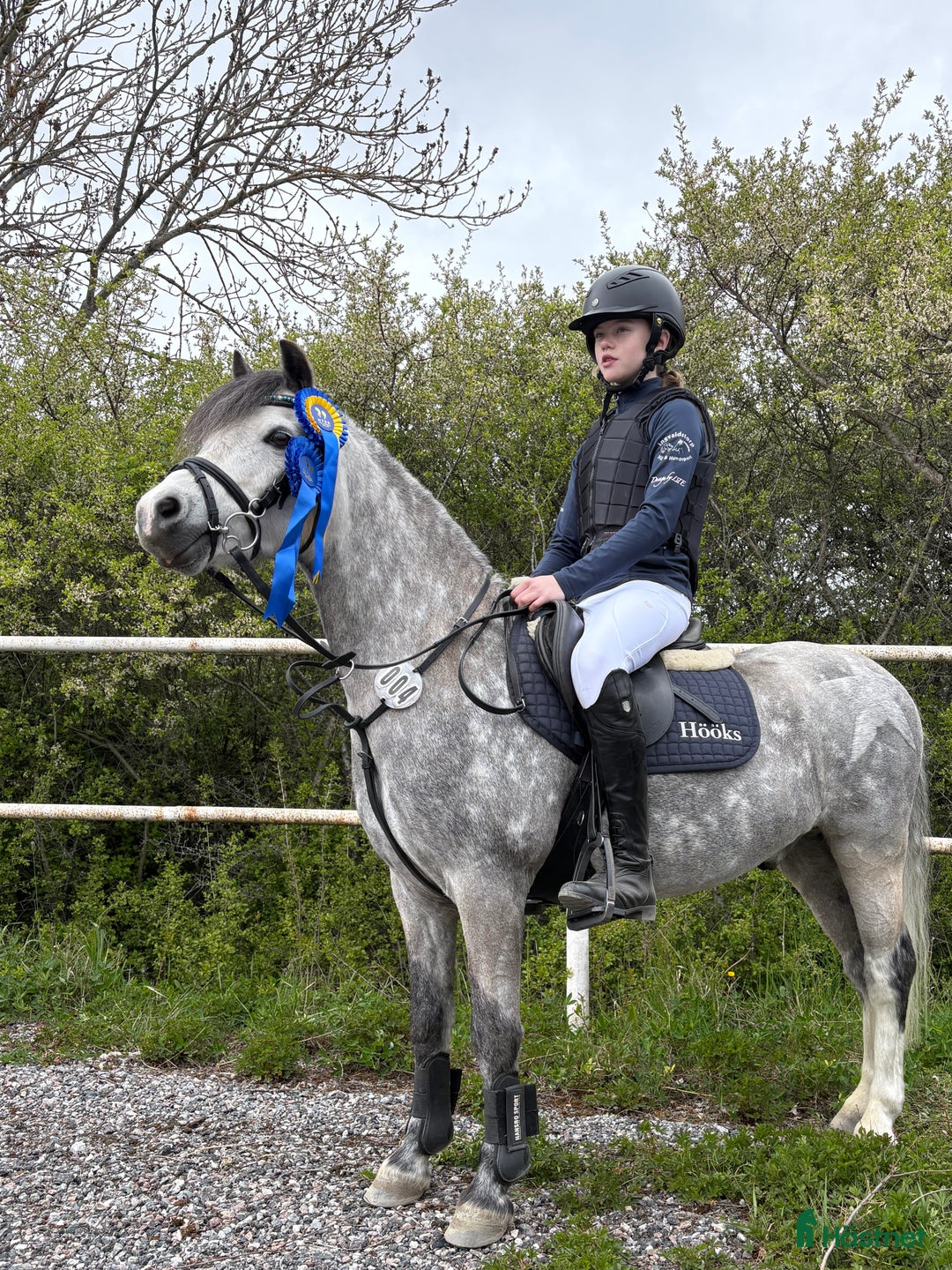 Hoppning hästar till salu: Drömponny med kapacitet  i Björkvik - Annons 1