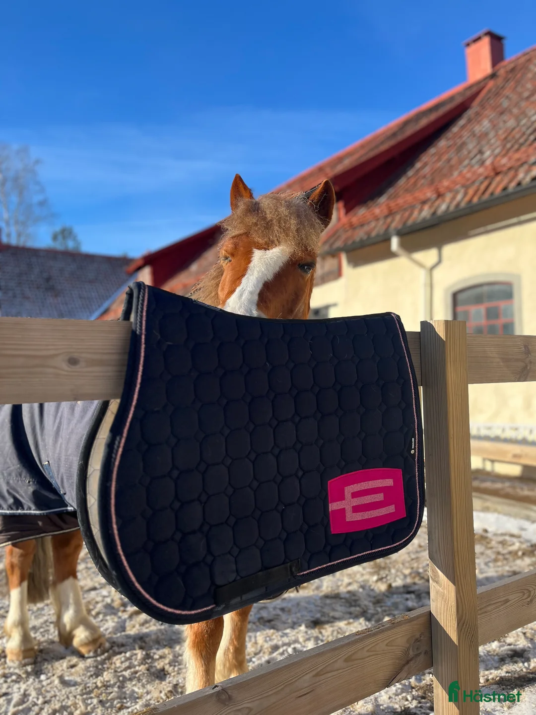 Schabrak & Vojlockar hästutrustning till salu: Super fint Equline schabrak  i Nyköping - Annons 1