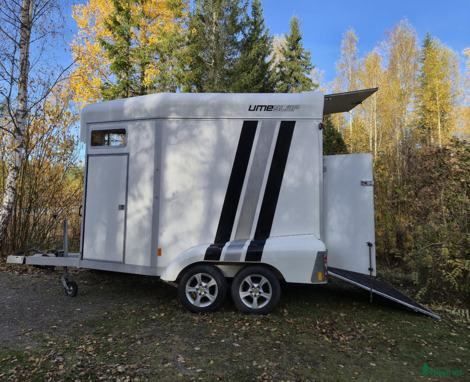 Hästtransporter  fordon & transport till salu: Umesläp BA45 Alugolv, fronturlastning, földörrar - Annons 1