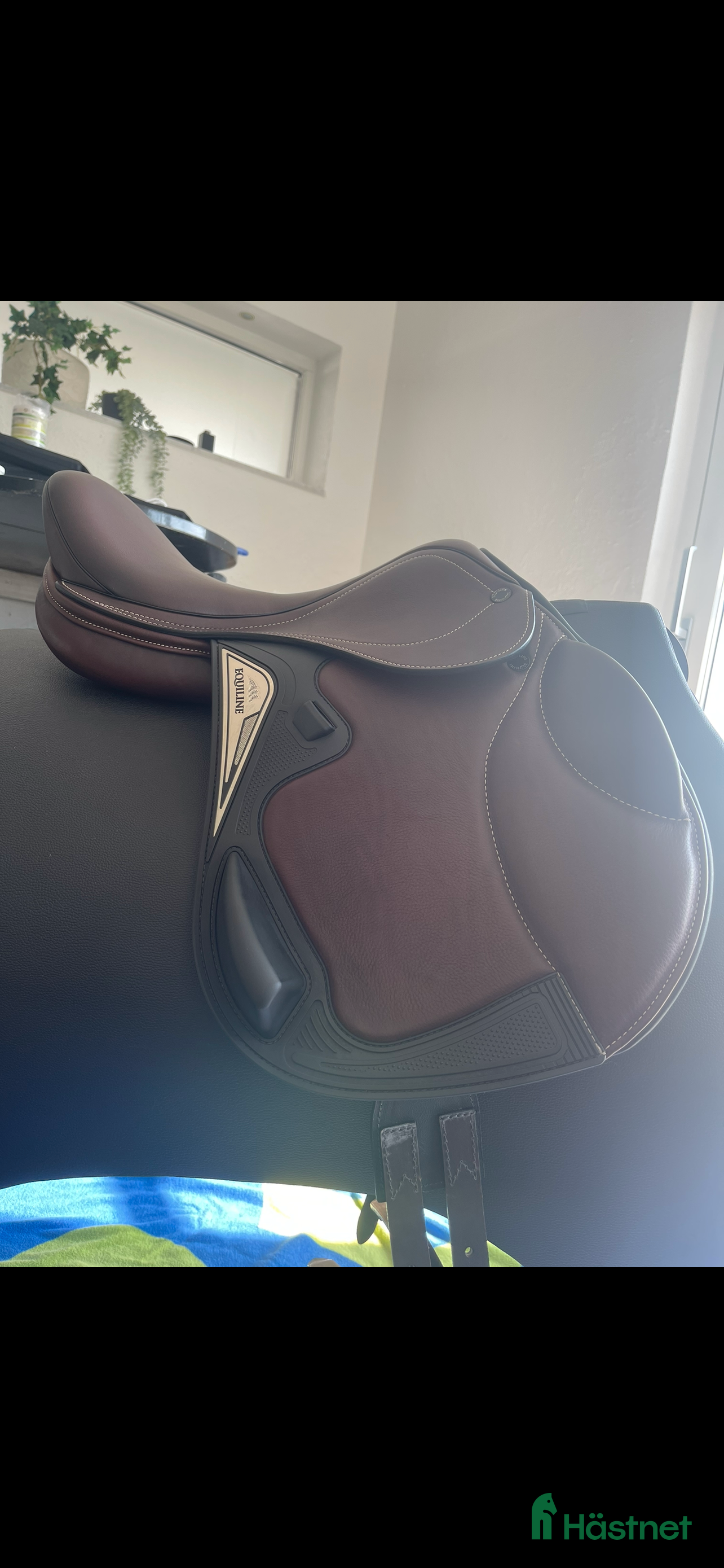 Sadlar hästutrustning Enkelkåpad hoppsadel - Annons 1