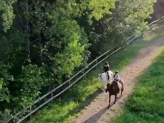 stallplats Helinackordering Almunge i Almunge - Annons 11