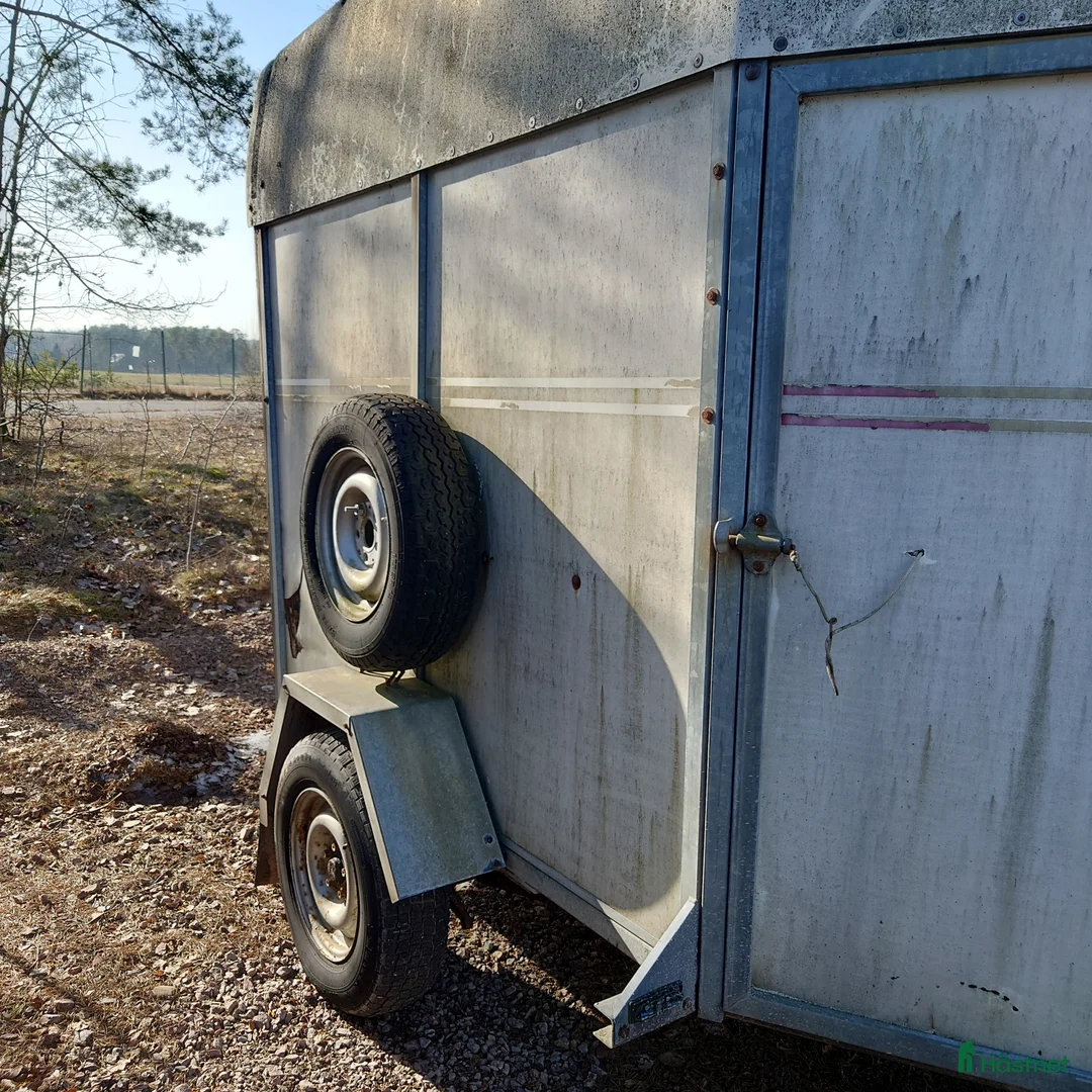 Hästtransporter  fordon & transport till salu: Tranesläp  i Vimmerby - Annons 4