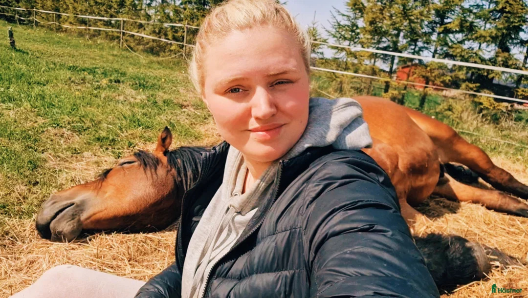 Galleribild {{count}}