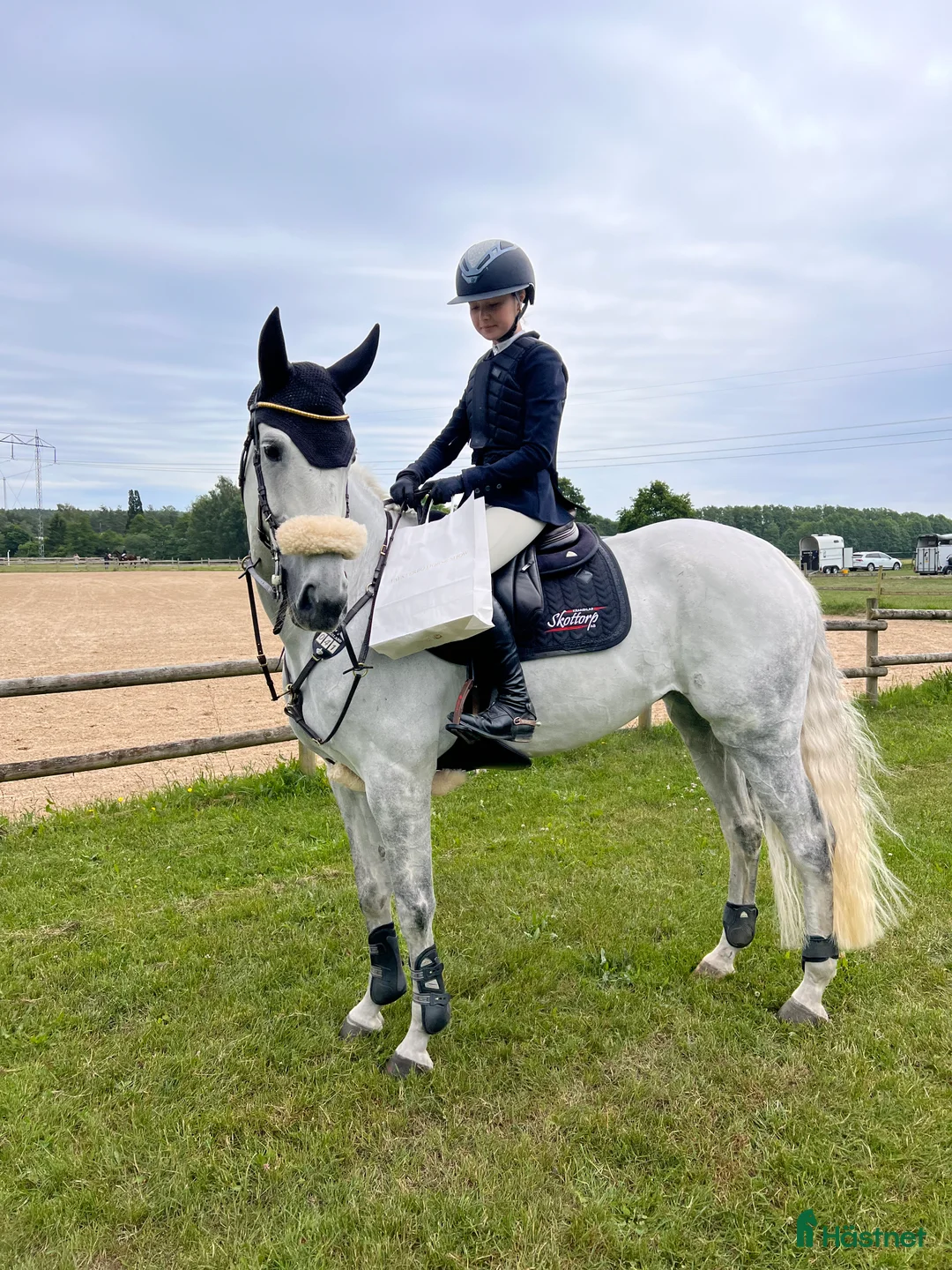 Hoppning hästar till salu: Underbart sto  - Annons 3