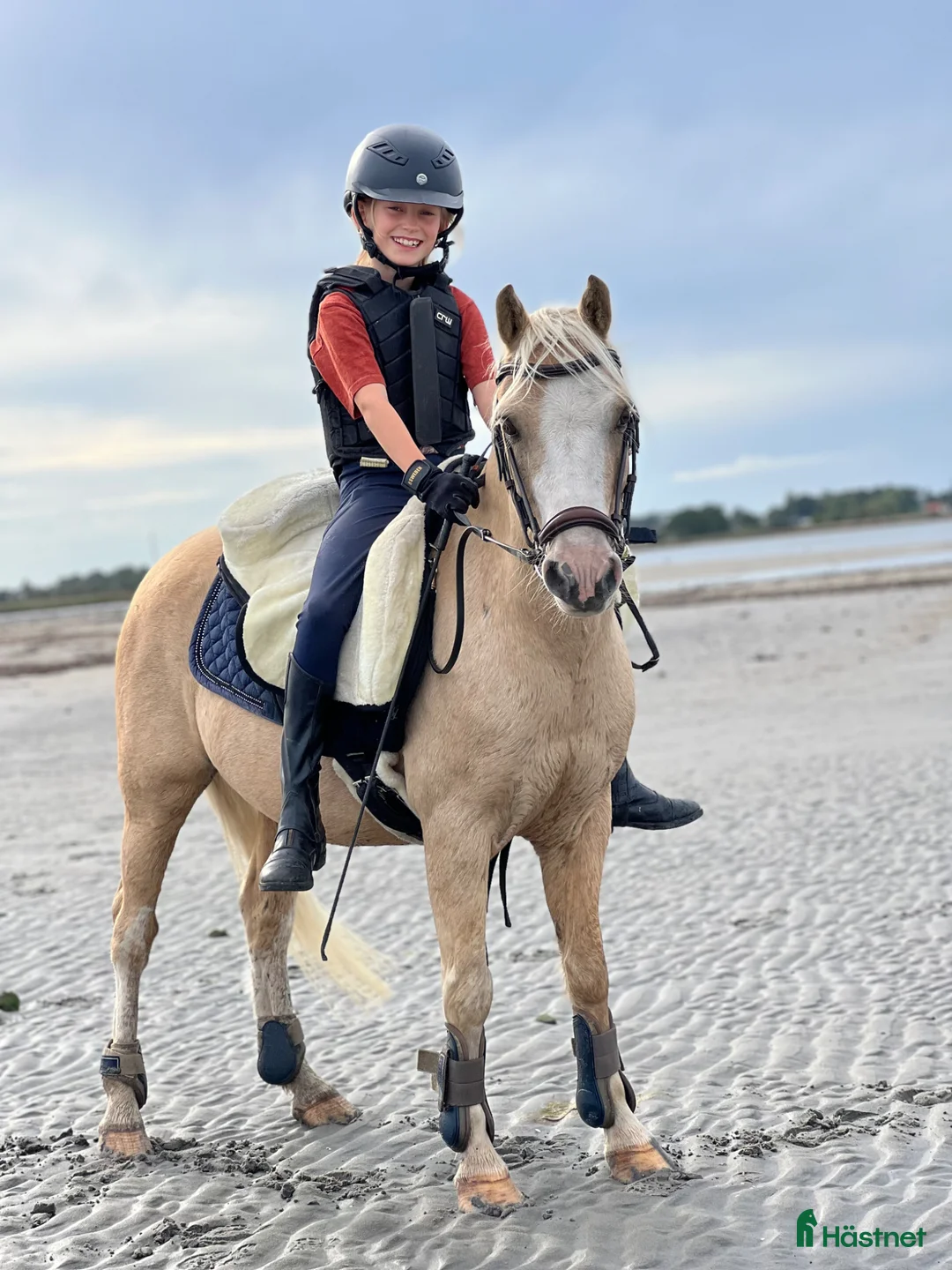 Allround hästar till salu: Sötaste Barbie ponnyn - Annons 2