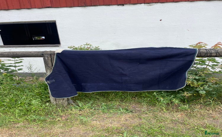 Täcken hästutrustning till salu i Tollarp - Annons 20