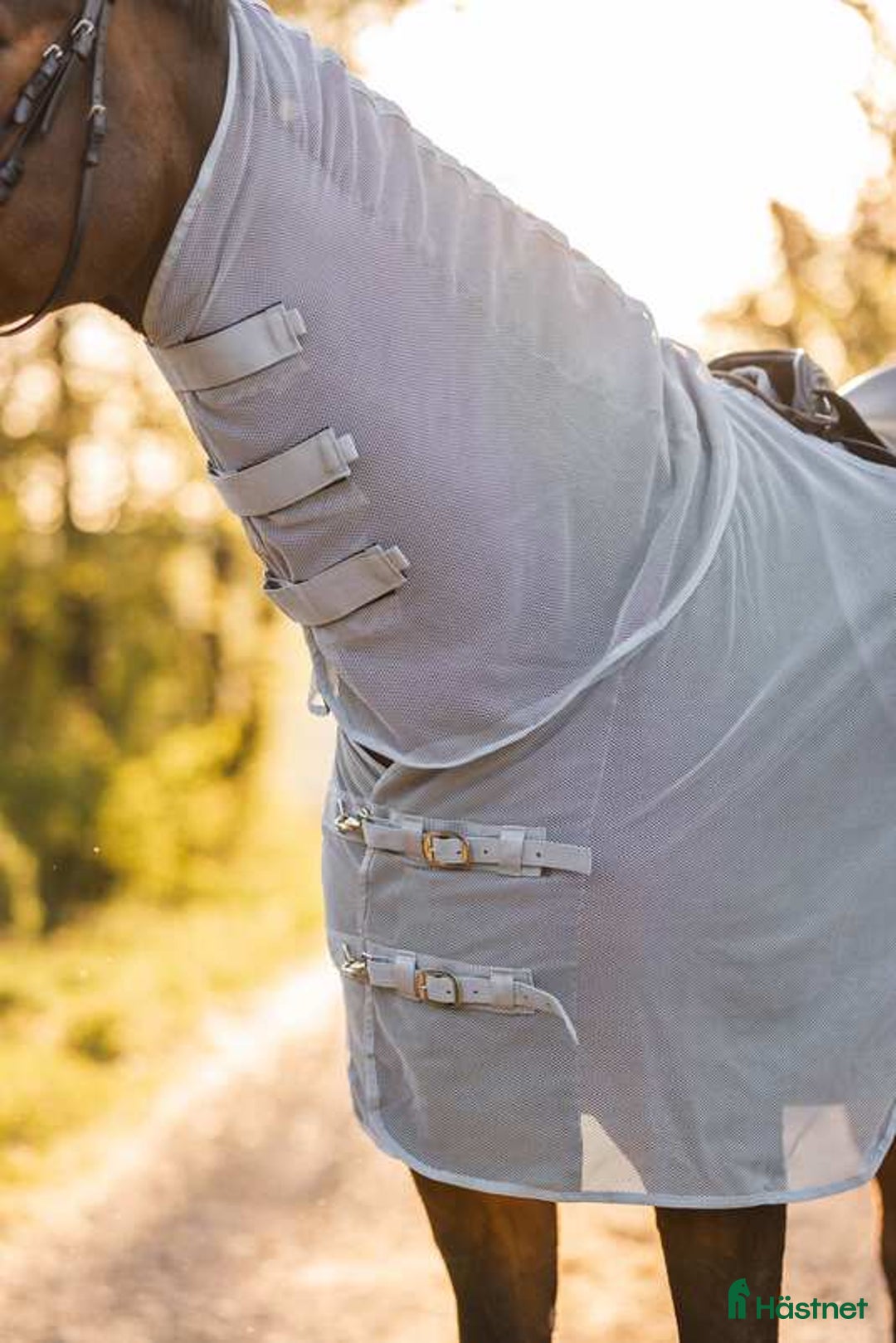 Täcken hästutrustning till salu: Nytt ridflugtäcke 145 cm i Hallsberg - Annons 2