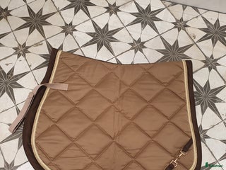 Schabrak & Vojlockar hästutrustning till salu: Lauria Garelli hoppschabrak Full i Tranås - Annons 15