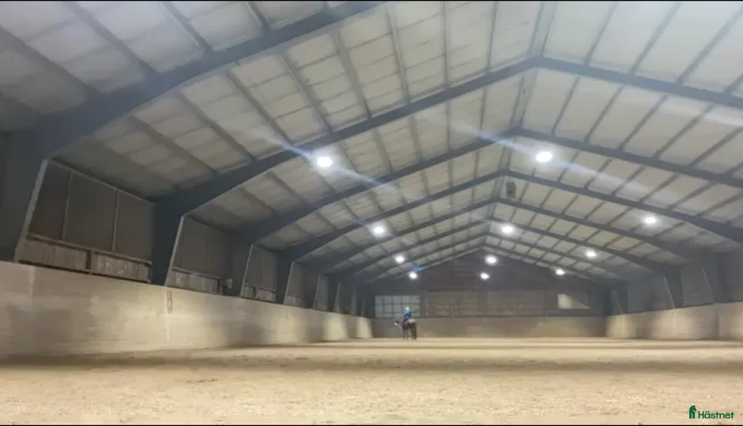  stallplats finnes: Lösdrift plats och boxplats Broknäs Gård - Annons 2