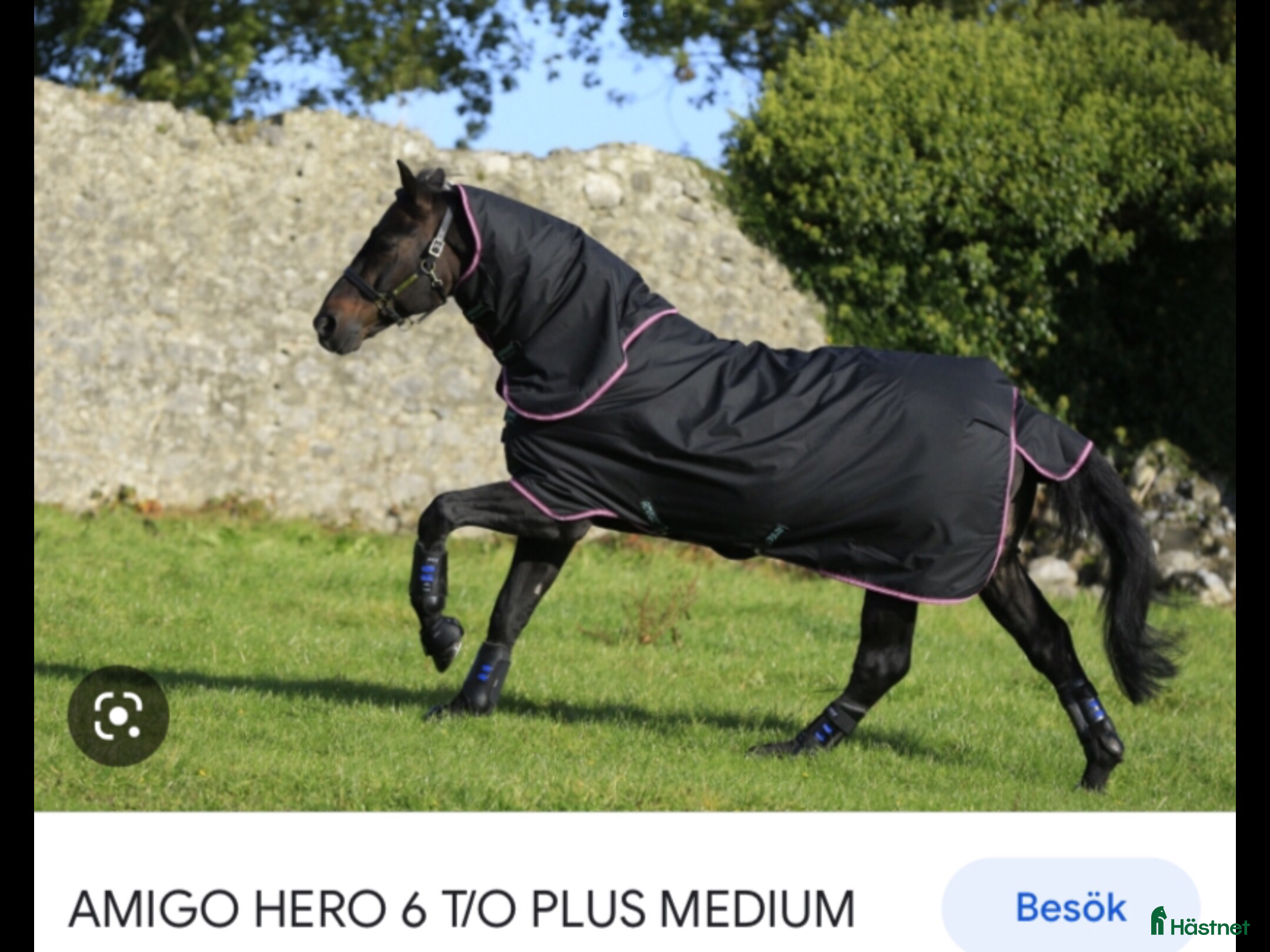 Täcken hästutrustning Amigo Hero 200g 155cm - Annons 12
