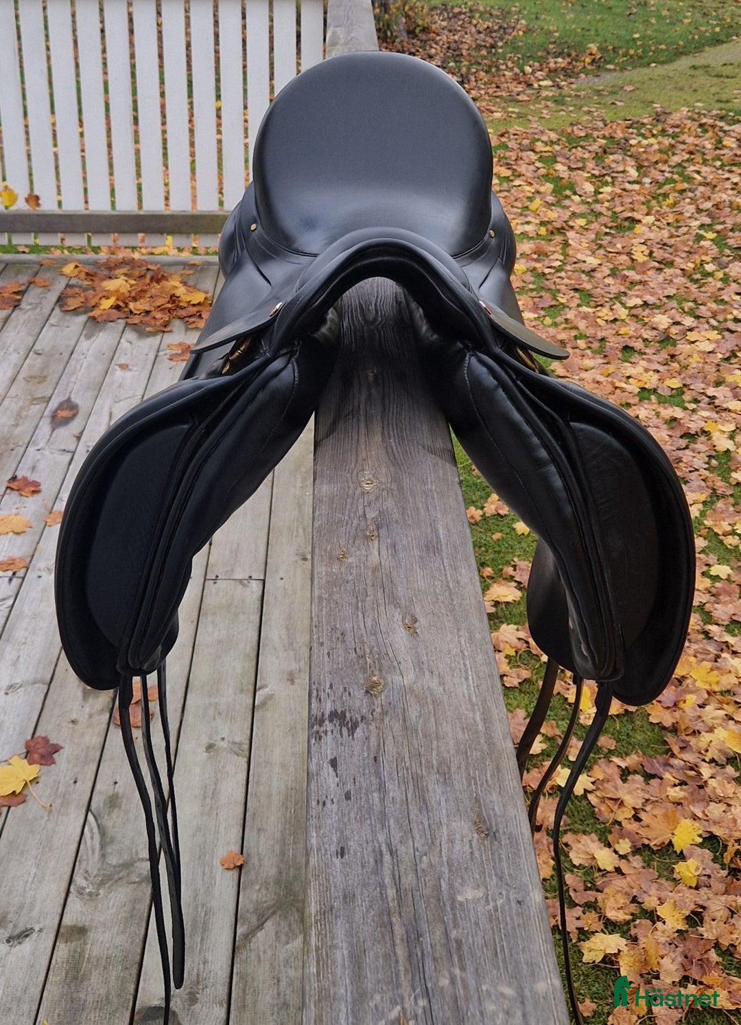 Sadlar hästutrustning till salu: Albion SLK2 bortslumpas i Trollhättan - Annons 4