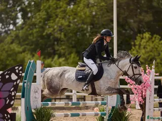 hästar Perfekt första ponny eller tävlingskompis - Annons 17