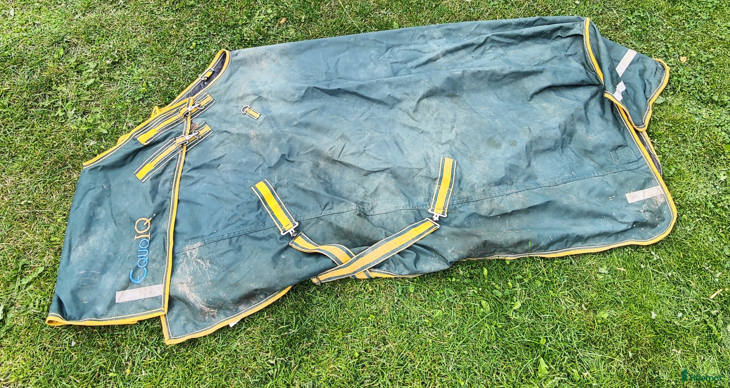 Täcken hästutrustning Equoiq regntäcke i Uppsala - Annons 1