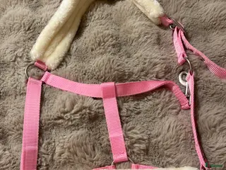 Övrig Hästutrustning hästutrustning Rosa mulle grimma - Annons 22