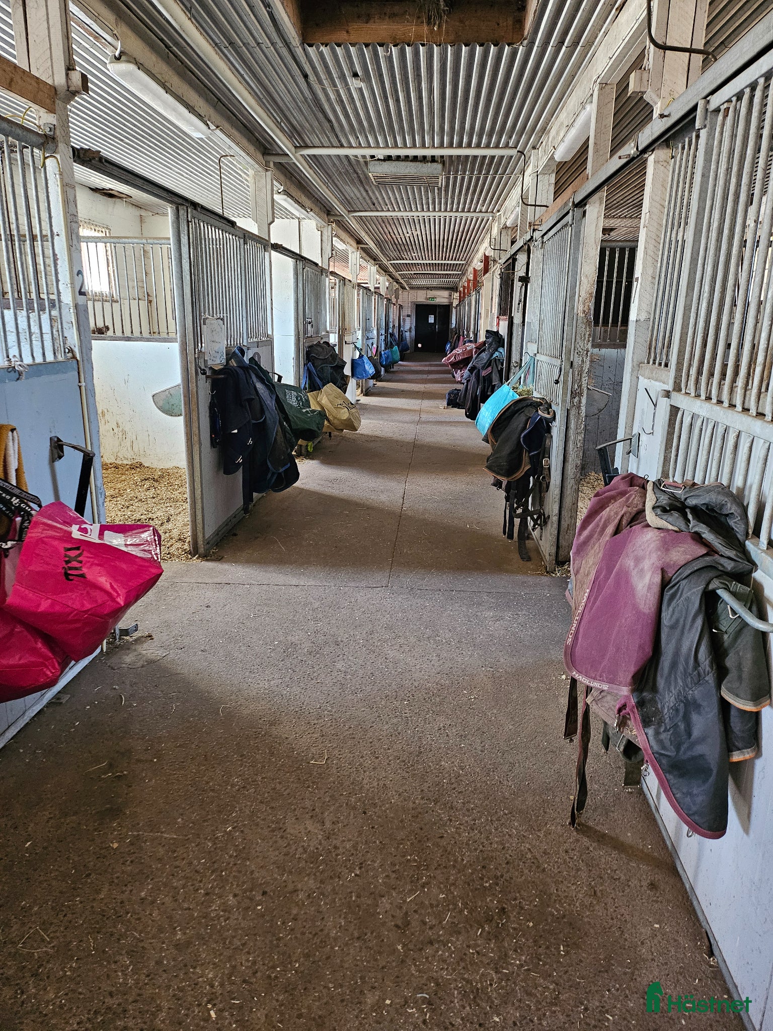  foderhäst Foderhäst för senare köp  - Annons 1