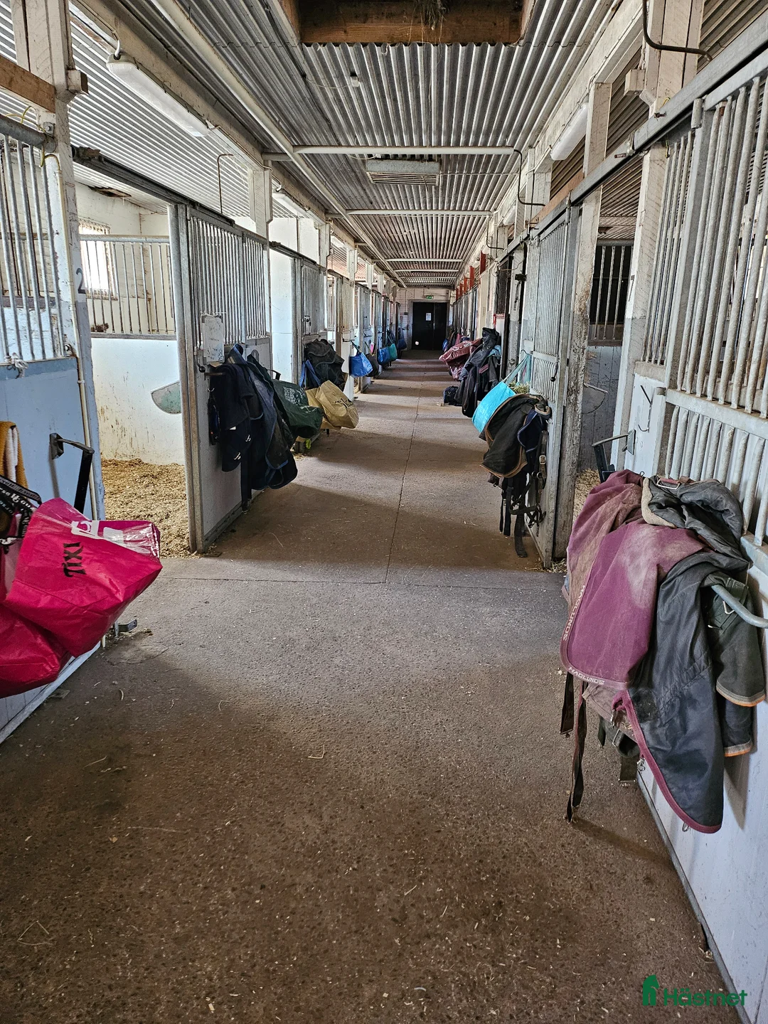  foderhäst sökes: Foderhäst för senare köp  - Annons 1