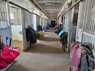 foderhäst Foderhäst för senare köp - Annons 1