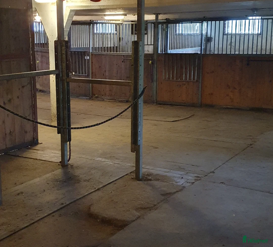  stallplats finnes: Stallplats  i Karlshamn - Annons 6