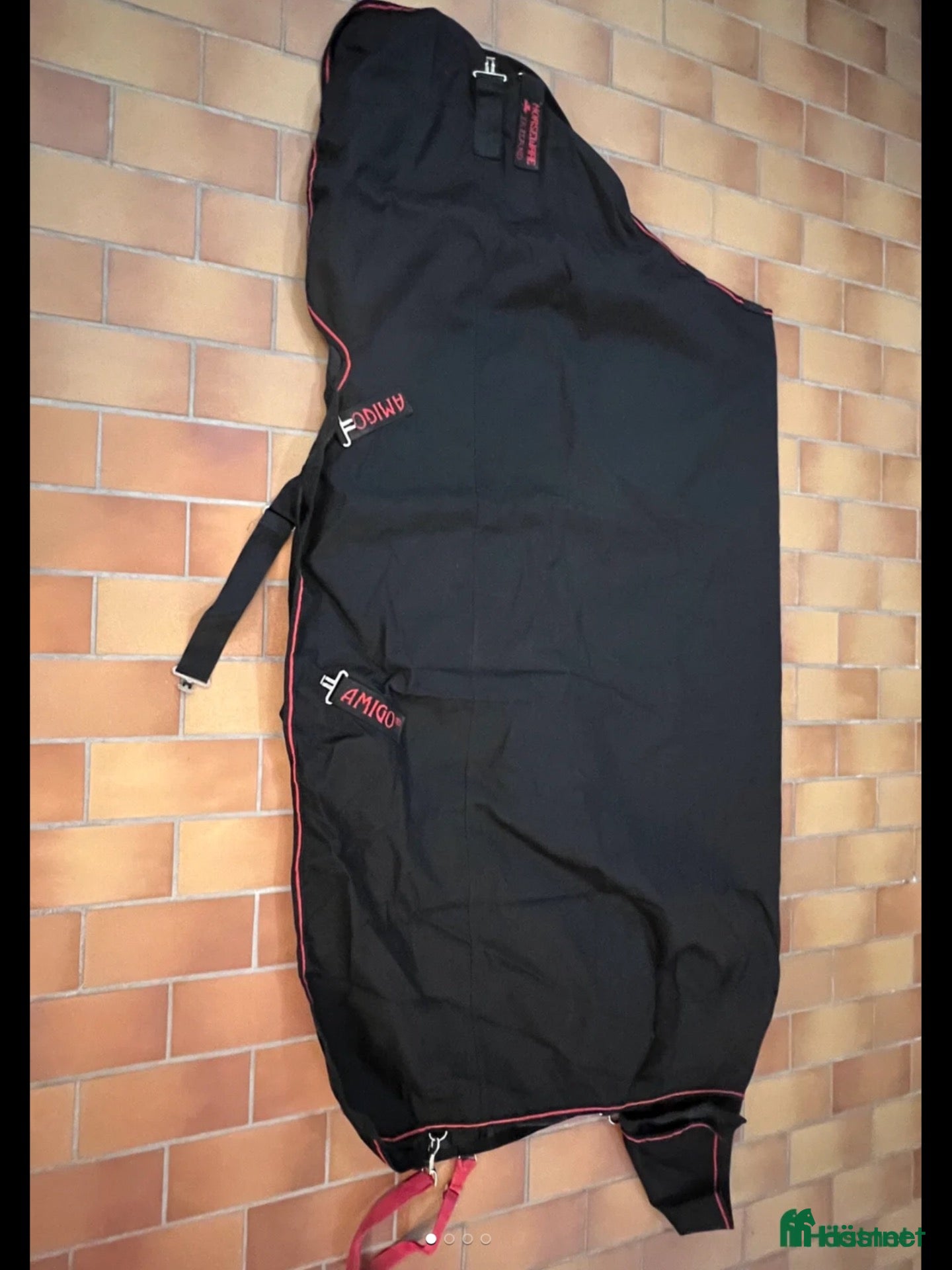 Täcken hästutrustning Amigo Bravo 145cm - Annons 14
