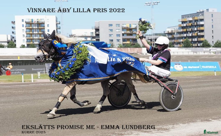  hästar i Vollsjö - Annons 11