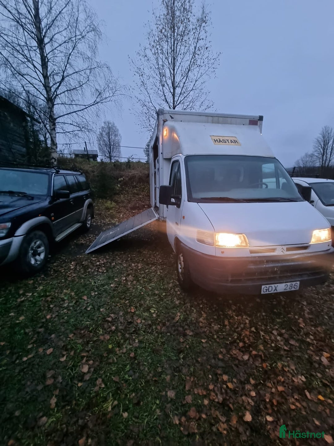 Hästlastbilar  fordon & transport till salu: Hästlastbil/Hästtransporter i Hoting - Annons 10