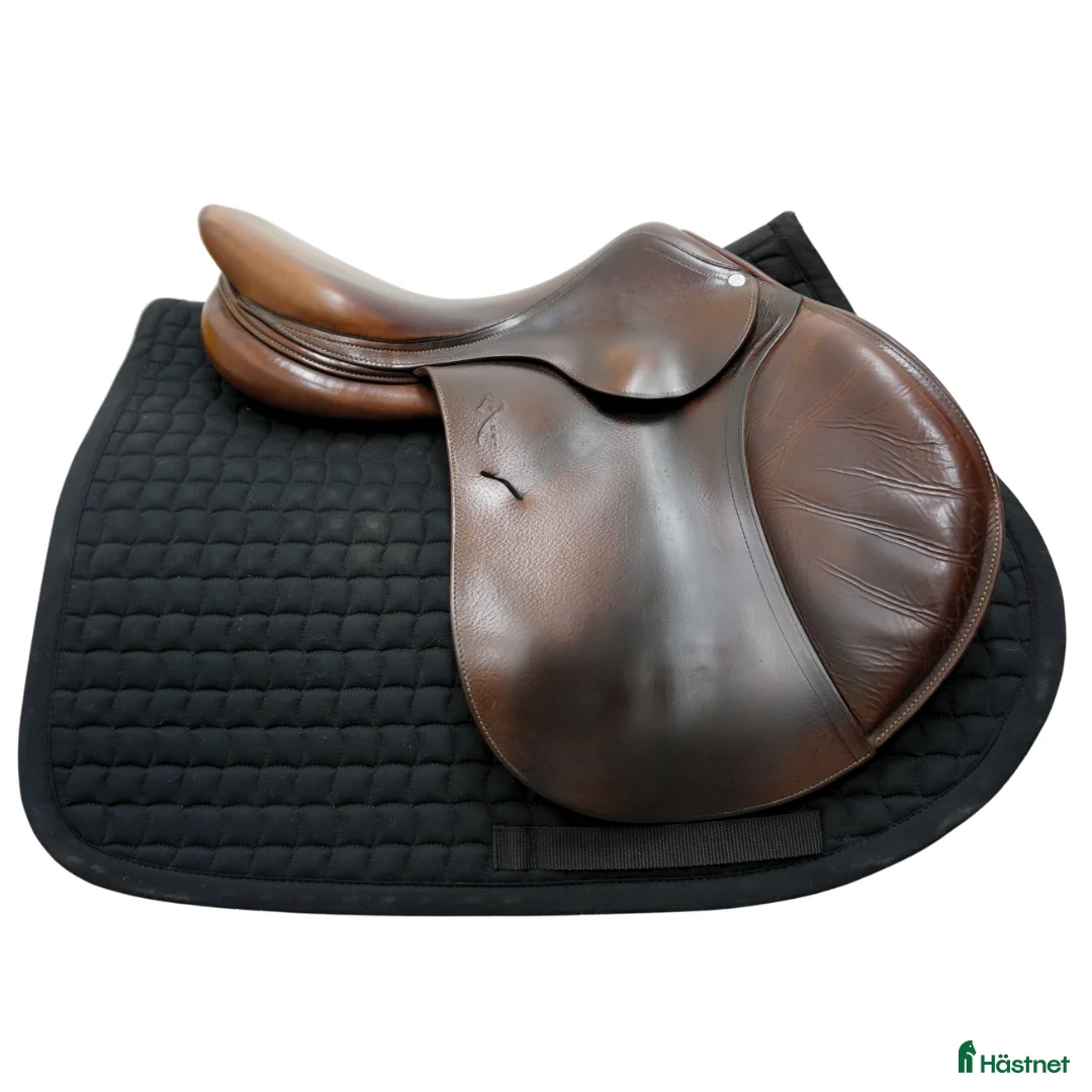 Sadlar hästutrustning till salu: Antarès SC 17" - Annons 2