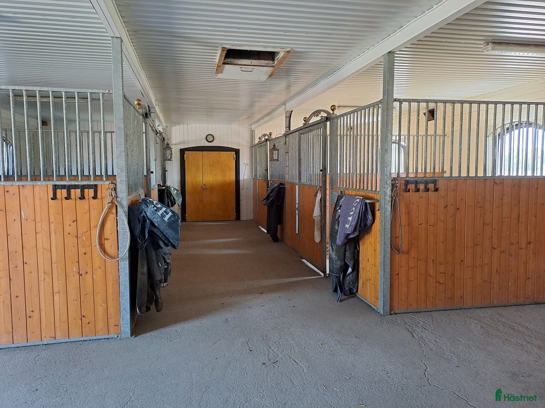  stallplats finnes: Boxplatser och lösdriftplatser lediga i Bro - Annons 4