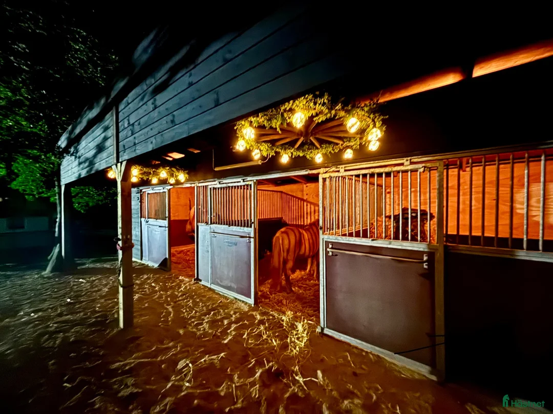  stallplats finnes: Stallplats Boxplats uthyres - Annons 2