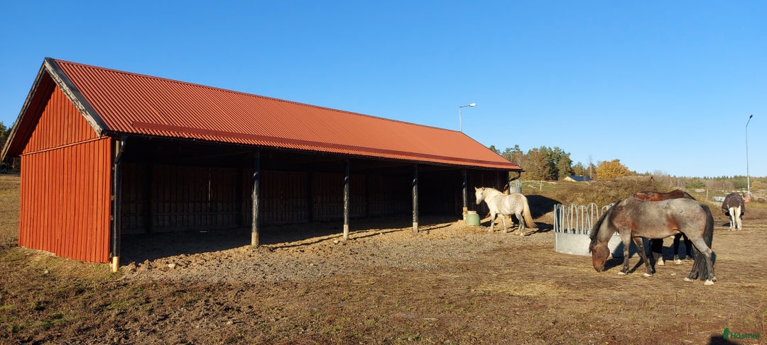  stallplats finnes: Lösdrift Österhaninge i Österhaninge - Annons 2