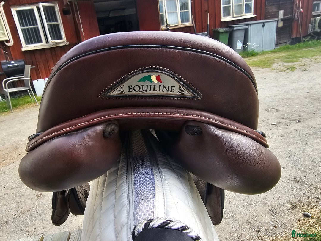 Sadlar hästutrustning till salu: Equiline hoppsadel Nick Skelton i utmärkt skick i Västerhaninge - Annons 3
